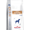 Royal Canin Gastro INTESTINAL low fat lf 22 canine